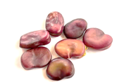 Semilla de Haba morada