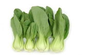 Pack Choi Bok Choi Verde