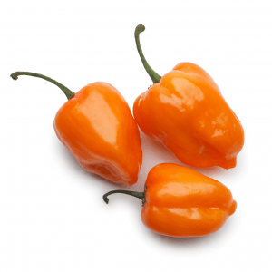 Semilla de Ají Habanero Naranjo