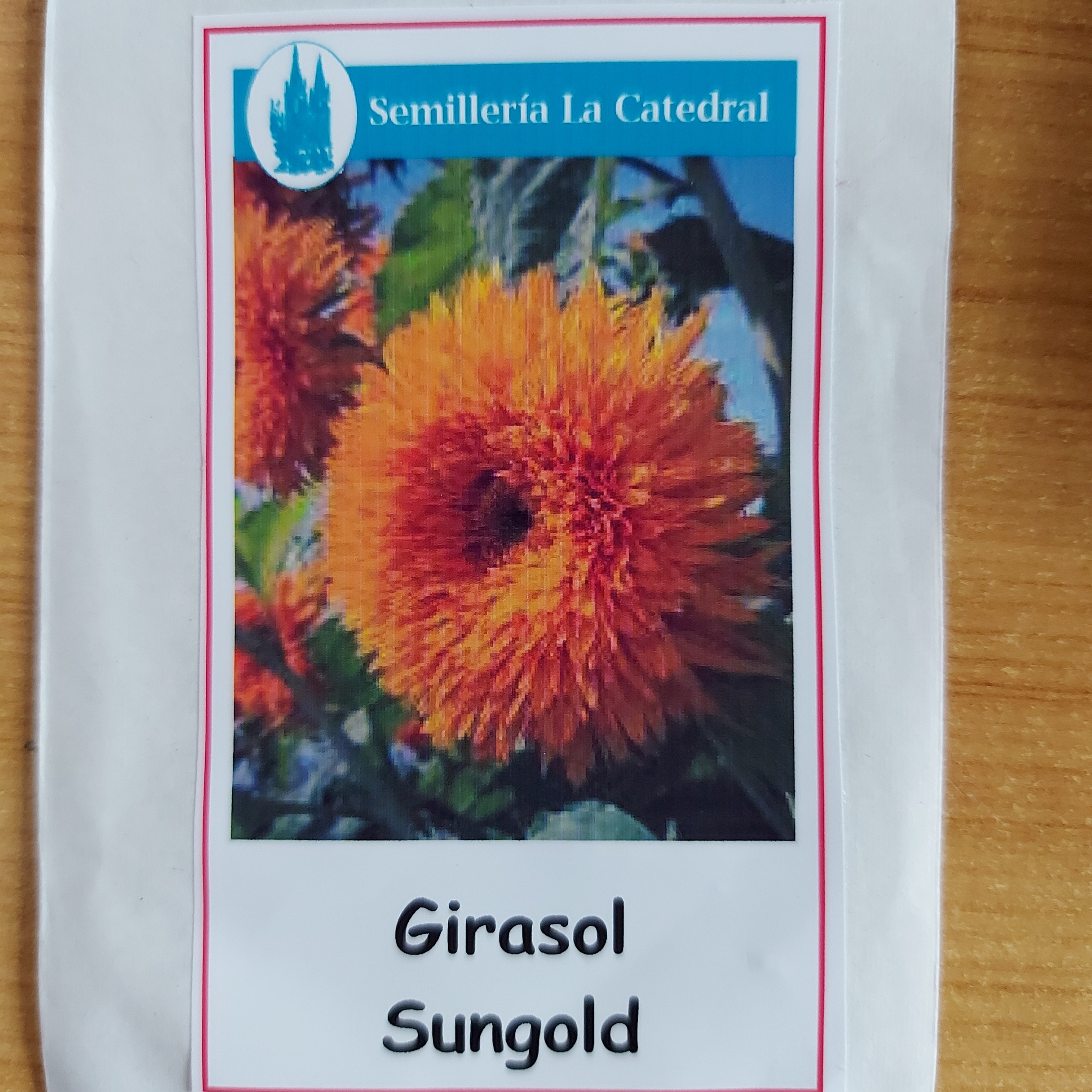 Girasol Sungold – El Jardín de Pauly