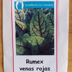 Rumex venas rojas