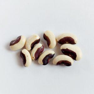 Semilla de Poroto Tobiano