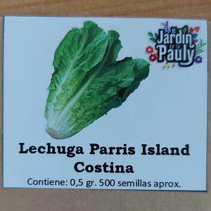 Semilla de Lechuga Costina