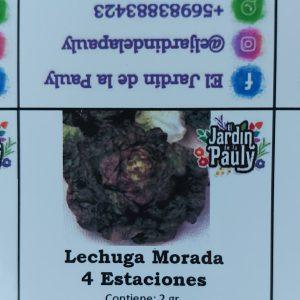 Semilla de Lechuga Morada 4 estaciones