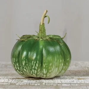 Semilla de Berenjena Green Giant de Cambodia