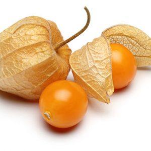 Semilla de Physalis