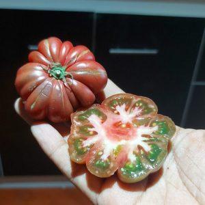 Semilla de Tomate Zapoteca Brown Flesh