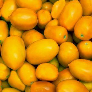 Semilla de Tomate Roma amarillo