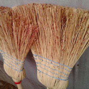 Semilla de Curahuilla