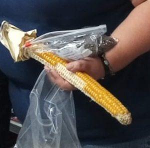 Semilla de Maíz 8 corridas