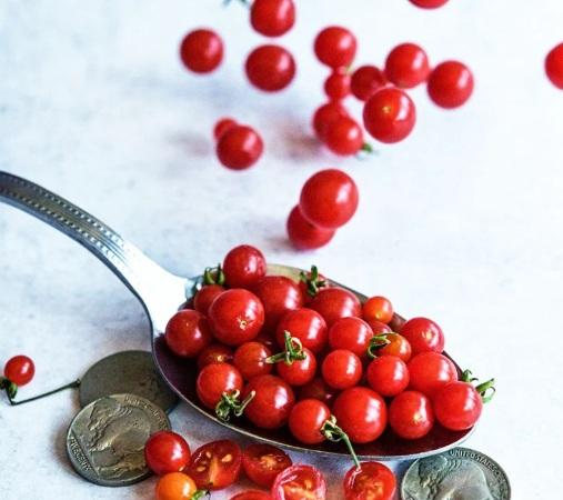 Semilla de Tomate Spoon