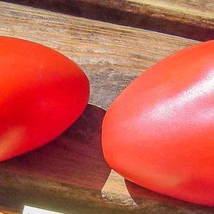 Semilla de Tomate Wolford Wonder