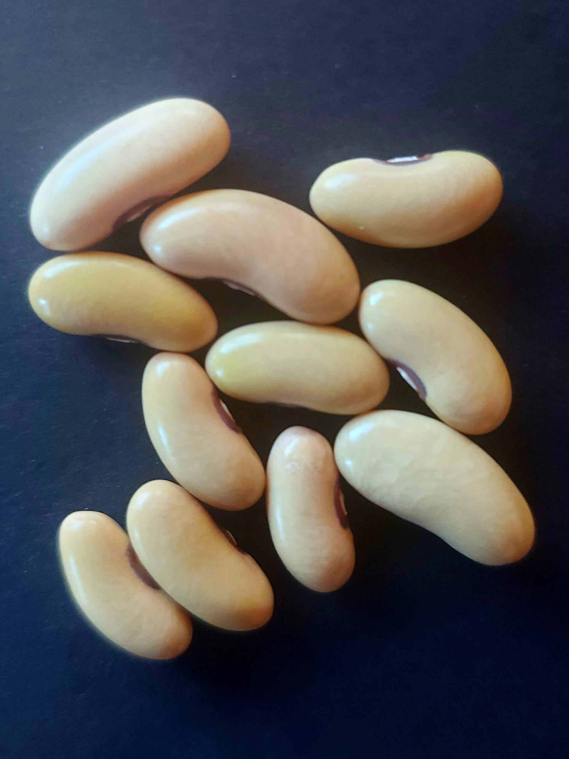 Semilla de Poroto Azufrado dedo