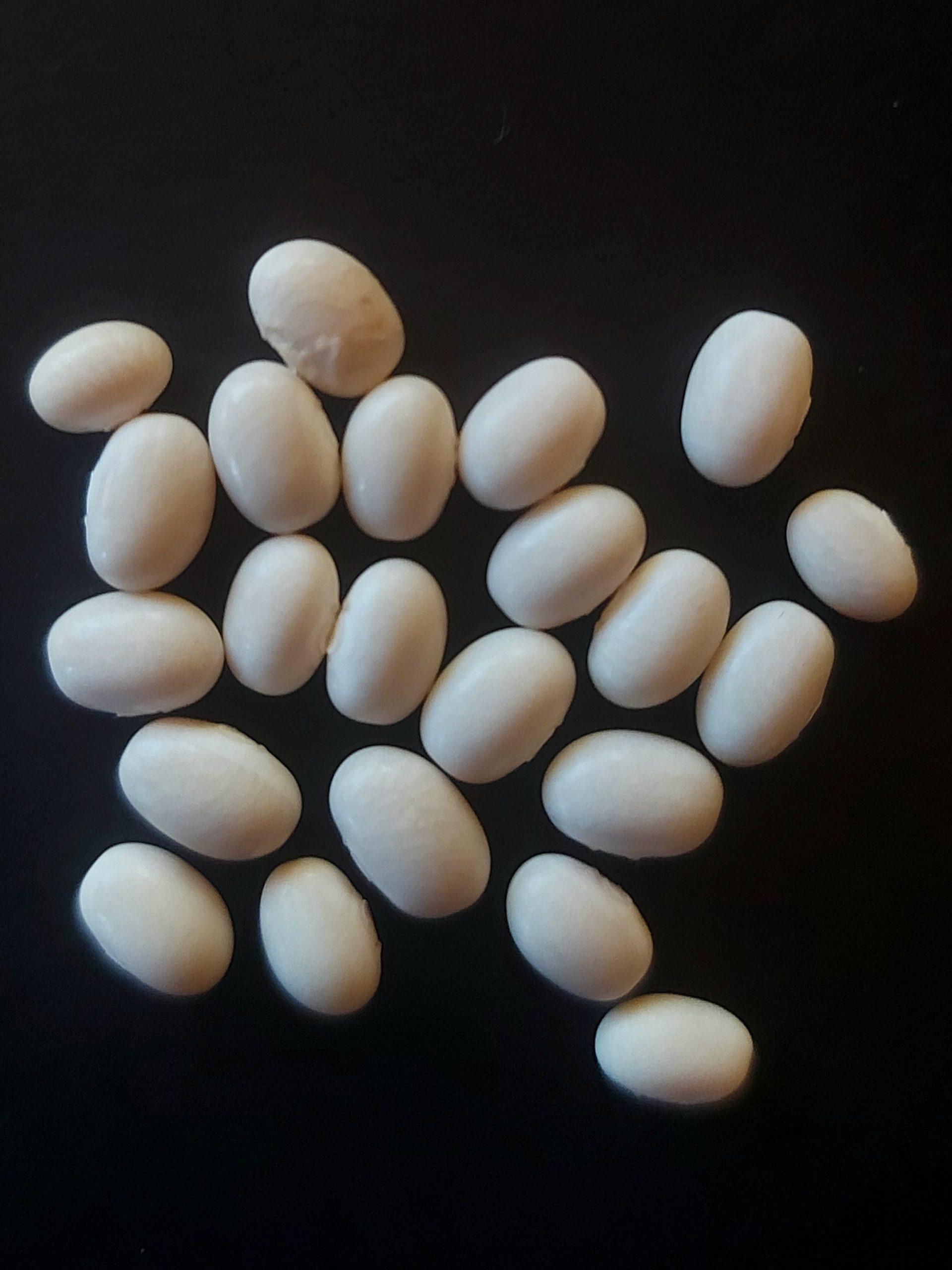 Semilla de Poroto Arroz