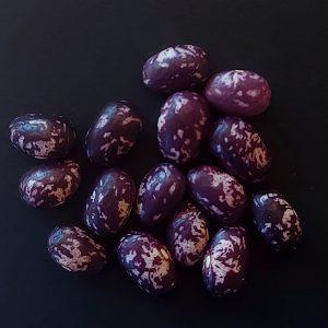 Semilla de Poroto Matiño