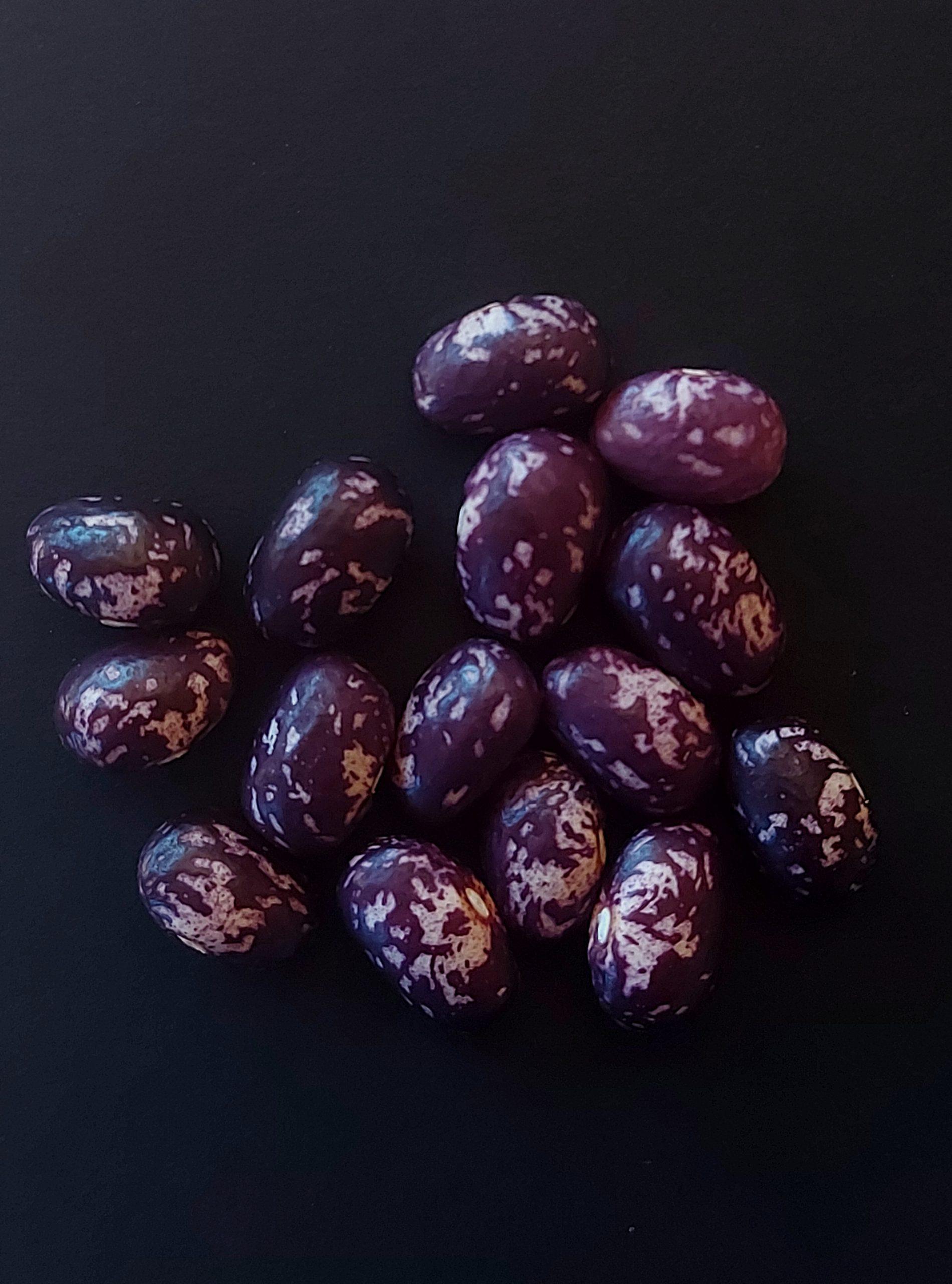 Semilla de Poroto Matiño