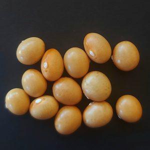 Semilla de Poroto Manteca