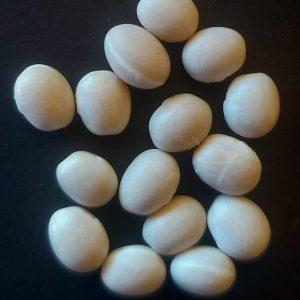 Semilla de Poroto Coyonco Blanco